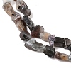 Natural Moonstone Beads Strands G-A284-A01-03-4