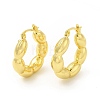 Brass Oval Wrap Hoop Earrings for Women EJEW-E273-01LG-1