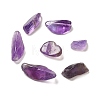 Natural Amethyst Chip Beads G-Q193-02B-2