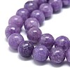 Natural Lepidolite/Purple Mica Stone Beads Strands G-O201A-05B-3