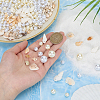 220Pcs 6 Styles Plastic Imitation Pearl Beads KY-SP0001-78-3