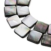 Natural Black Lip Shell Beads Strands SHEL-A006-09B-3