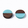 Resin & Wood Cabochons RESI-S358-70-H11-2