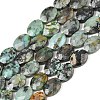 Natural African Turquoise(Jasper) Beads Strands G-H349-A01-16-2
