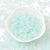 Frosted Glass Beads X1-FGLA-D300-01B-2