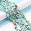 Natural Amazonite Chips Beads Strands X-G-M205-12A-2