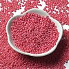 Baking Paint Glass Seed Beads SEED-P006-03A-08-2