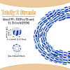 2Strands Handmade Lampwork Beads Strands BLOW-TADJ0001-01D-4