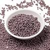 MIYUKI Round Rocailles Beads SEED-X0055-RR0410-2