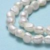 Natural Cultured Freshwater Pearl Beads Strands PEAR-A005-14-01A-4