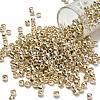 TOHO 6/0 Round Beads X-SEED-TR06-PF0558-1