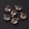 Golden Tone Brass Glass Flat Round Charms GLAA-M003-A-21G-4