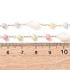 Glass Round Beads & Natural Shell Barrel Beads Link Bracelets BJEW-G774-03G-5