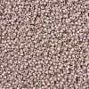 MIYUKI Round Rocailles Beads SEED-X0055-RR0579-3