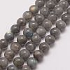 Natural Labradorite Bead Strands G-P259-03-6mm-3