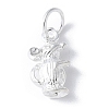 925 Sterling Silver 3D Chinese Zodiac Charms STER-P066-01S-01-1