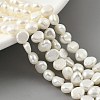 Natural Cultured Freshwater Pearl Beads Strands PEAR-A006-04H-2