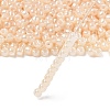TOHO 6/0 Round Beads SEED-TR06-0147-2