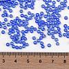 TOHO Round Seed Beads SEED-JPTR08-0117-4