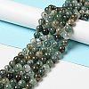 Natural Fuchsite Beads Strands G-K285-40C-1-2