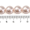 Baking Painted Pearlized Glass Pearl Round Bead Strands PEAR-H019-02E-01-5