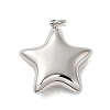 Non-Tarnish 304 Stainless Steel Pendants X-STAS-K263-27P-1