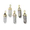 Natural Labradorite Pointed Pendants G-G025-01G-38-1