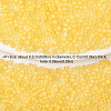 10G Cylinder Seed Beads SEED-YW0003-06D-3