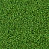 TOHO Round Seed Beads SEED-JPTR11-0306FM-2