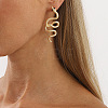 Snake Alloy Rhinestone Stud Earrings FS-WG9AB0E-01-2