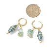Brass Shell Shape Hoop Earrings EJEW-JE06747-03-4