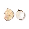 Shell Pendants SHEL-P075-03-2