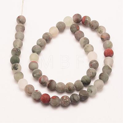 Natural African Bloodstone Beads Strands G-P295-05-10mm-1