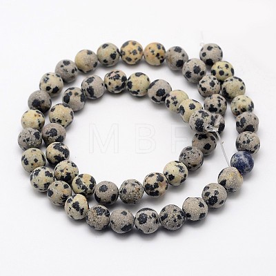 Natural Dalmatian Jasper Beads Strands X-G-D685-8mm-1