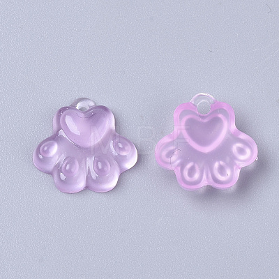 Translucent Resin Charms X-RESI-T040-033-1