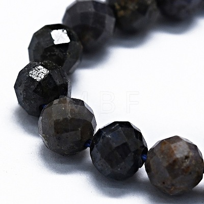 Natural Sapphire Beads Strands G-G927-21A-1