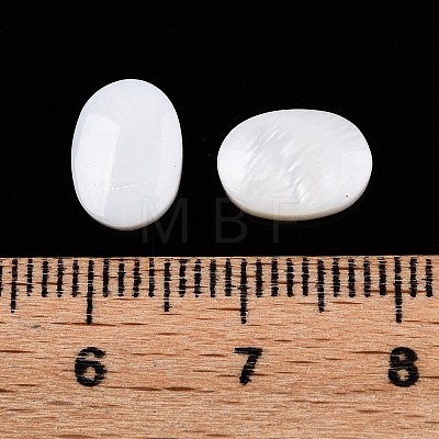 Natural Freshwater Shell Cabochons SHEL-T020-04-1