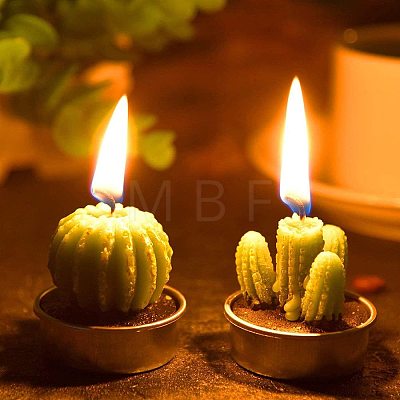 3D Cactus Food Grade Silicone Molds DIY-GA0001-50-1