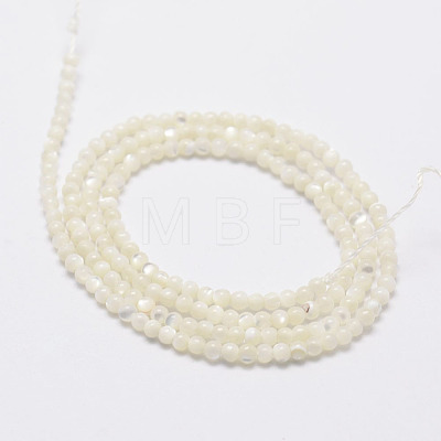 Natural White Shell Beads G-N0190-11-2mm-1