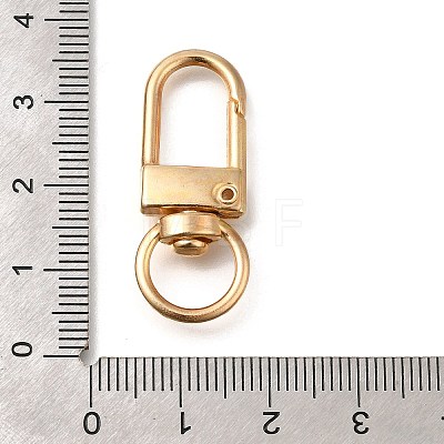 Alloy Swivel Clasps FIND-H006-03KCG-1