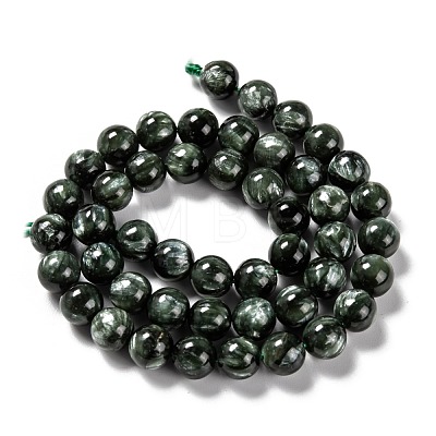 Natural Seraphinite Beads Strands G-E557-22D-1