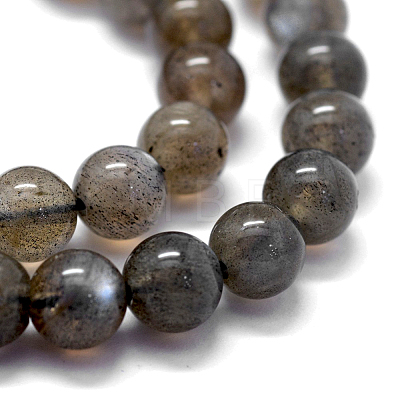 Natural Labradorite Beads Strands G-K285-03-8mm-1