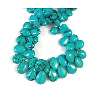Natural Magnesite Beads Strands TURQ-K003-28B-1