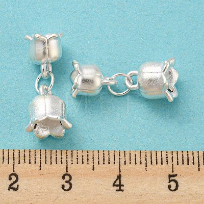 925 Sterling Silver Pendants STER-B002-09S-1