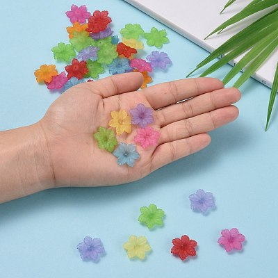 6-Petal Transparent Frosted Acrylic Bead Caps FACR-S004-11-1