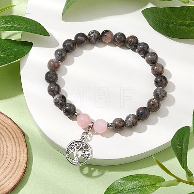 Natural Fluorescent Syenite Rock & Mashan Jade Round Bead Stretch Bracelets BJEW-JB11257-03-1