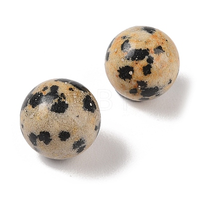 Natural Dalmatian Jasper No Hole Sphere Beads G-K353-04A-16-1