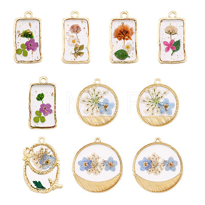10Pcs 2 Styles Transparent Resin Pendants RESI-TA0005-61-1