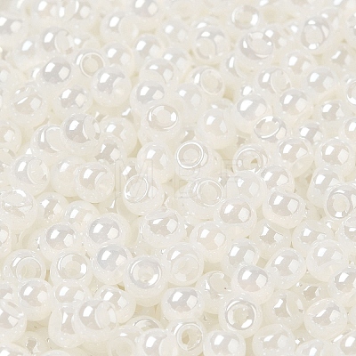 Glass Seed Beads SEED-H002-E-A141-1
