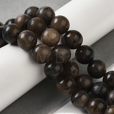 Natural Chiastolite Beads Strands G-Q161-A03-05-1